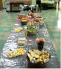 2009 seder