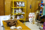 bazar 2011